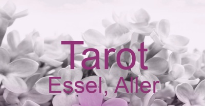 Tarot Essel, Aller | Top-Experten für Kartenlegen, Wahrsagen, Hellsehen, Zukunftsdeutung.